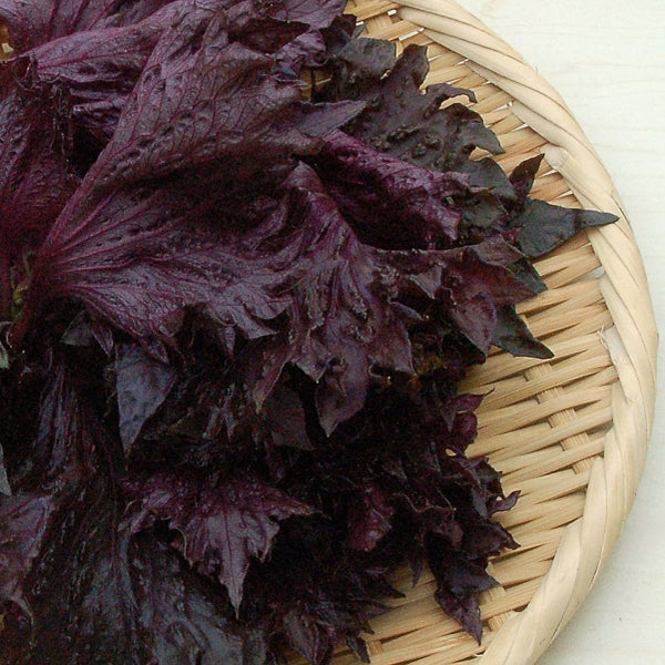 三つの情景 紫蘇・大原