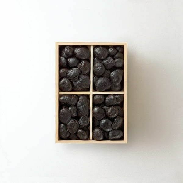 一と口椎茸 (HS-35)